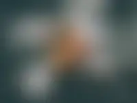 Profil von Jan