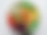 Portfolio von Scott
